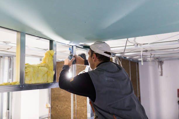 Best Geographic-Specific Insulation Services in Santaquin, UT