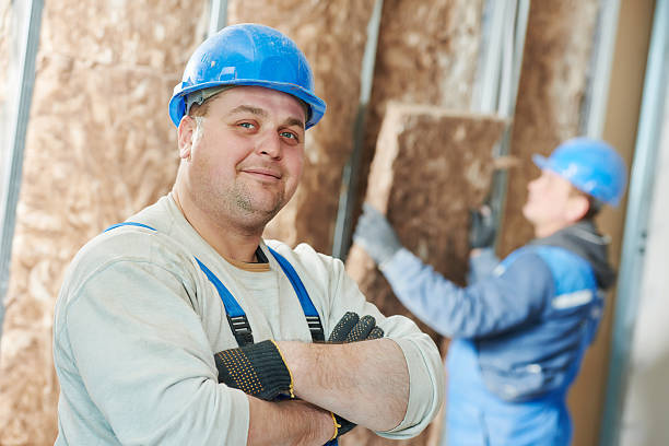 Best Insulation Maintenance and Repair in Santaquin, UT