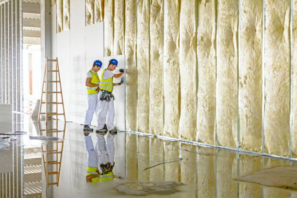 Best Eco-Friendly Insulation in Santaquin, UT